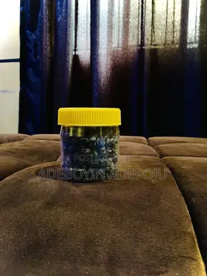 Dried Locust Beans .