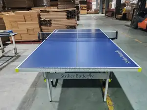 Imported Indoor Table Tennis Board