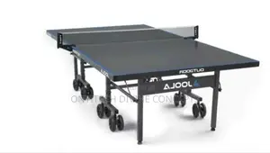 Imported Outdoor Joola Tennis Table