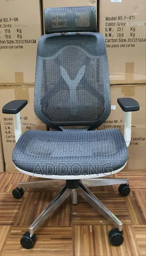 Office Executive