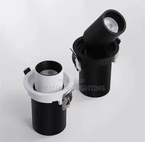 Luxury Ceiling Spot Light