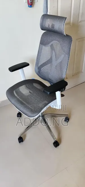 Home and Office Executive Chair