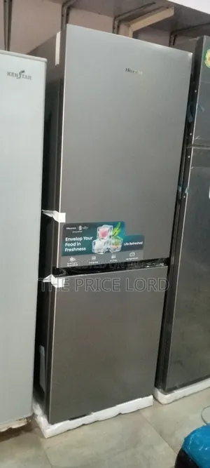 Hisense Ref 29cda Bottom Mount Refrigerator