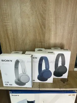 Sony Whch520