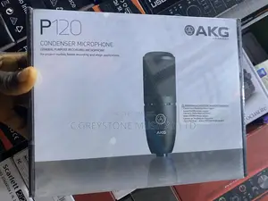 Akg P120 Mic