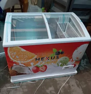 Nexus 300 Litters Transparent Ice Cream Chest Freezer