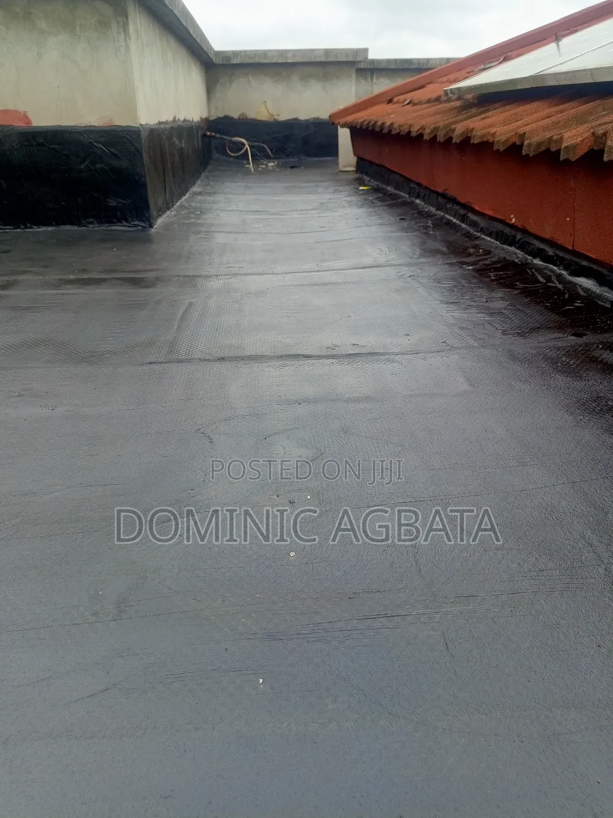 Assertive Waterproofing Specialist