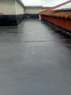 Assertive Waterproofing Specialist