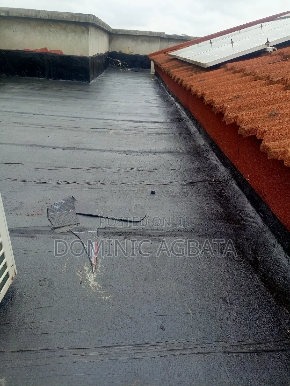 Assertive Waterproofing Specialist
