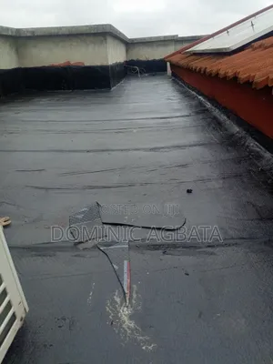 Assertive Waterproofing Specialist