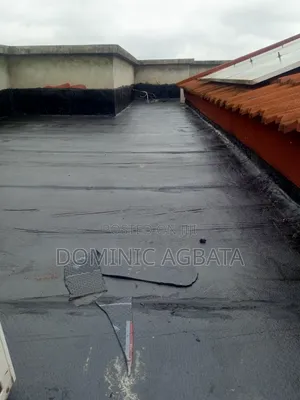 Assertive Waterproofing Specialist