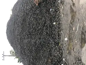 Black Stone