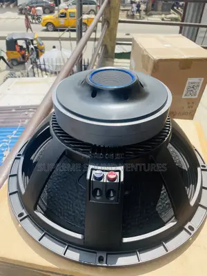 Ssv 18-600 Double Magnet Sub Speaker