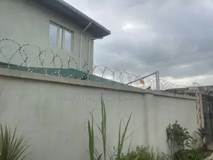 Durable Well Installed Anti Rust Razor Wire 318class