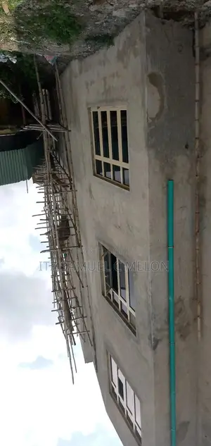 Interior Decorator