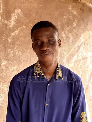Mr Anselem Ugwuezuonu