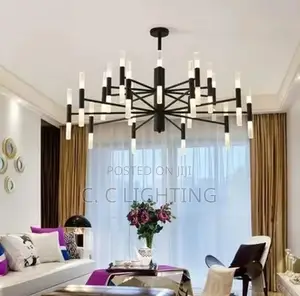 Modern Fashion Designer Black Led Ceiling Chandelier Light
