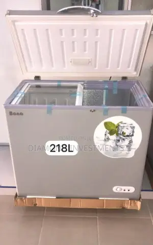 Bona Solar Freezer 218litres