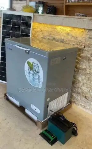 Bona Solar Freezer 168litres