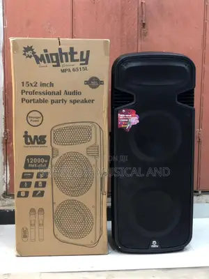 Double 15inches Pa System