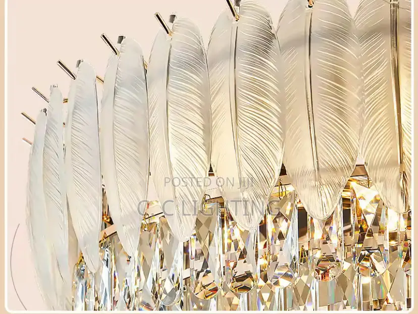 Crystal Chandelier Feather  Light