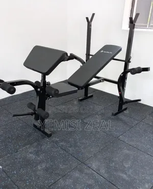 Weight Bench And Olympic Weight Plates
