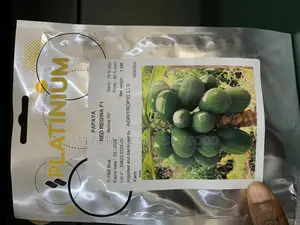 Papaya Red Regina