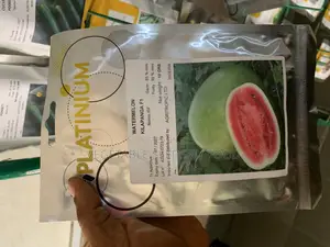 Watermelon Kilapanga 10g