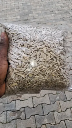 Sunflower Seed