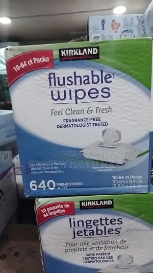 Kirkland Flushable Wipes 10- 64 Packs 640 Premoistened Wipes