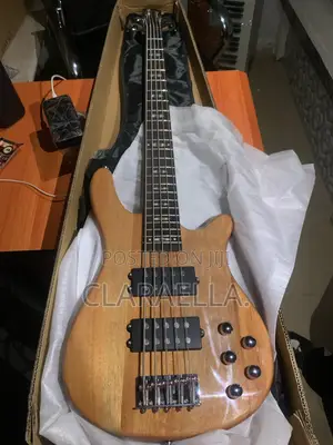 Well Sound 5-String Electric Bass Guitar