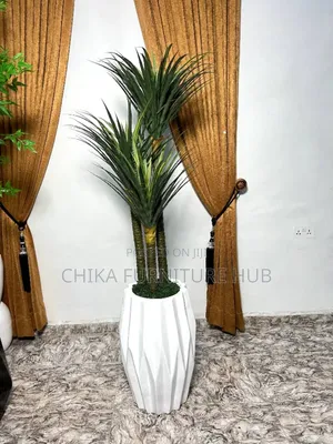 Exterior/Interior Flower Plant