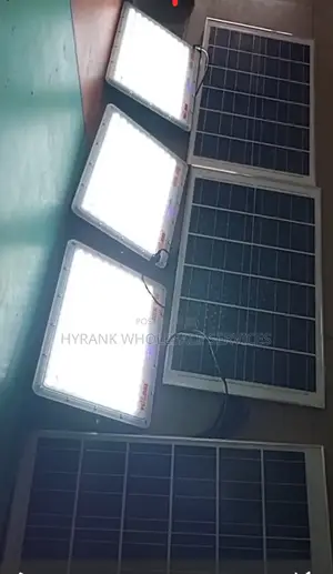 Solar Security Light