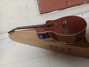 Semi Acoustic Guitar.