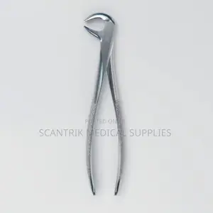 Tooth Extraction Forceps