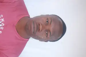 Online Information Work