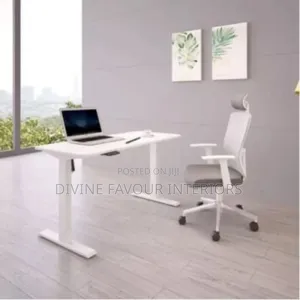 Adjustable Height Electric Standing Desk - 1.6mtr