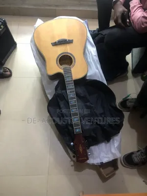 Brand New Semi Acoustic Thunderstone Semi Acoustic Guitar