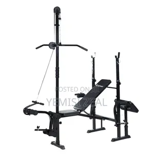 Adjustable Weight Bench And Ladpole