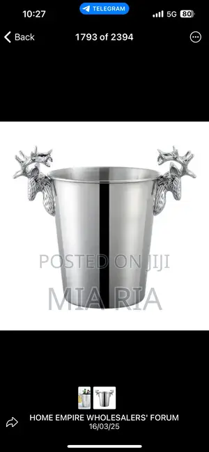 Quality Sliver Wine Buckets