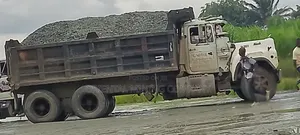 Iron Black Chippings and Granite From China Oriental