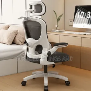 Egornomic Office S8wivel Chair With Flip Armrest