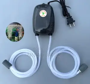 Double Outlet Oxygen Pump