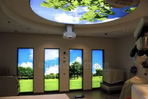 Glossy Stretch Ceiling Design