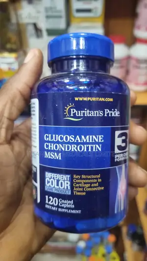 Glucosamine Chondroitin MSM ( Puritans Pride )