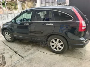 Car Rental Services