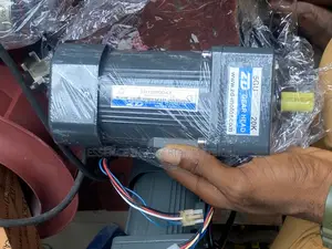 Hot Sales Zd Micro Induction Gear Motor 220v