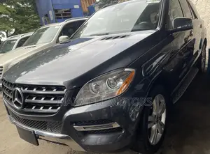 Mercedes-Benz M Class 2014 Gray