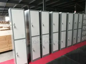2 Doors Metal Workers Wardrobe