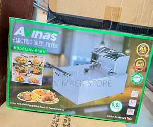 Electric Deep Fryer